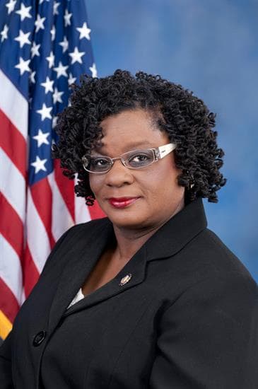 Rep. Gwen Moore headshot